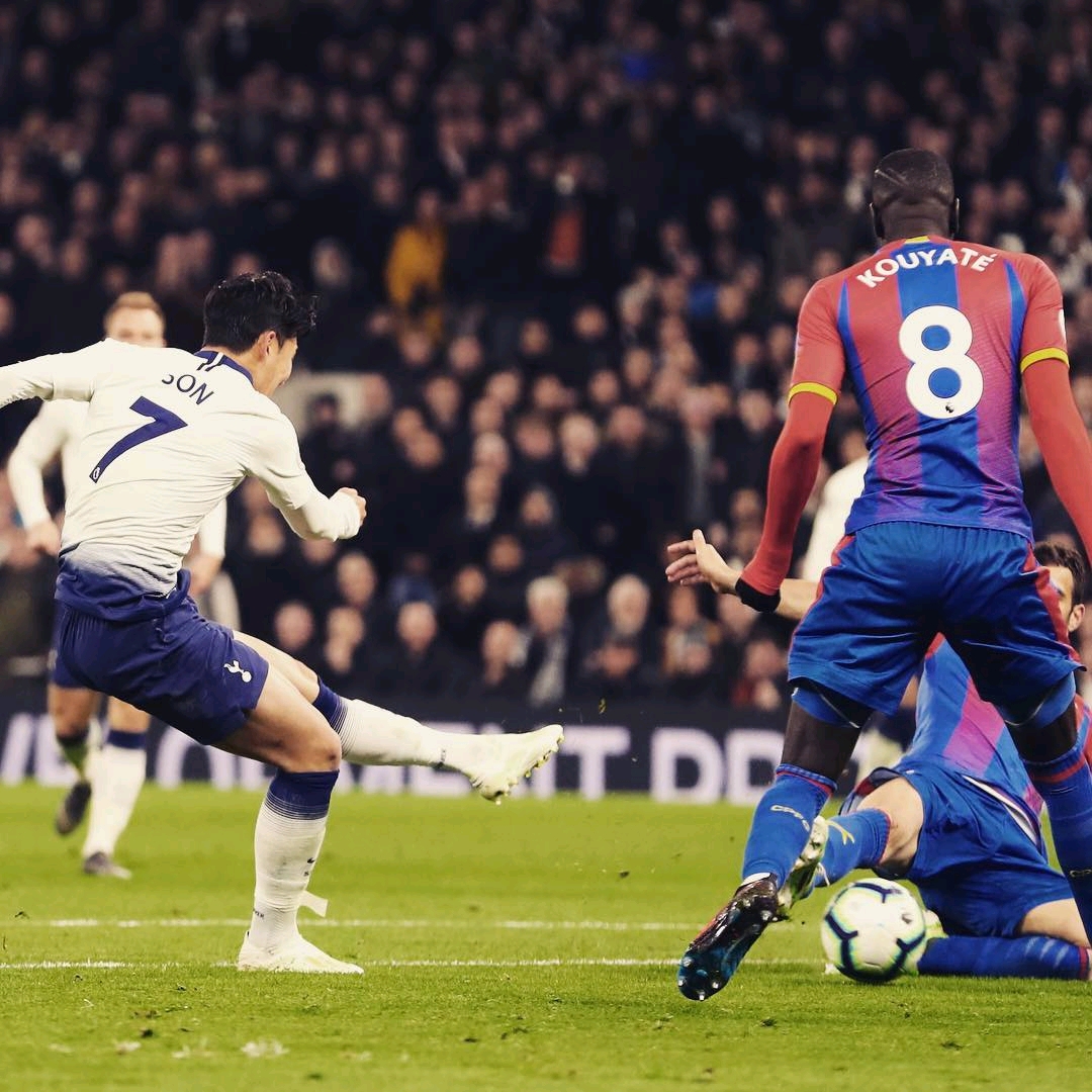 未来被高度 未来被高度